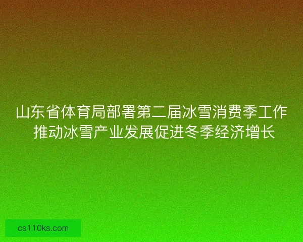 山东省体育局部署第二届冰雪消费季工作 推动冰雪产业发展促进冬季经济增长
